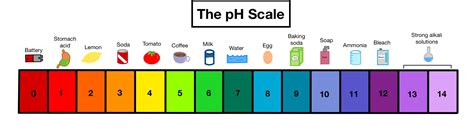 What Is the pH Scale? — Definition & Overview - Expii