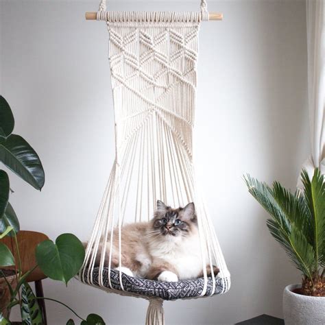 Cat hammocks – what every owner should know | meowpassion