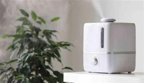 6 Best Humidifier For Plants | Reviews + Guide