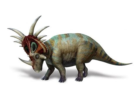 Styracosaurus Facts, Habitat, Diet, Fossils, Pictures