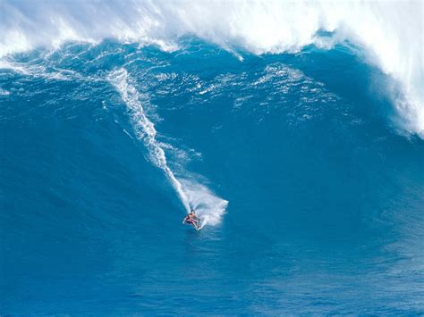 Surfing - Maui - Surfing Wallpaper (23339750) - Fanpop