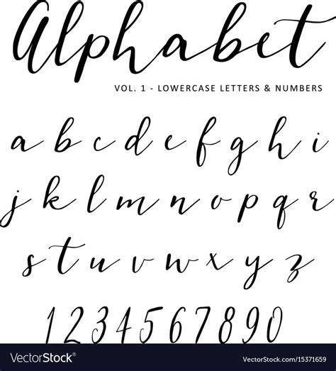 Hand drawn alphabet script font isolated Vector Image