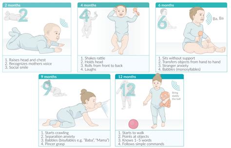 Infant Reflexes Chart