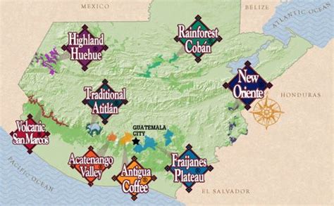 Guatemalan Coffees ® 8 Regions Espresso Coffee, Black Coffee, Coffee ...