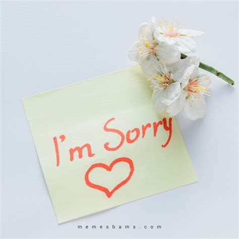 I'm Sorry Quotes and Messages for Her to Personalize Your Apology