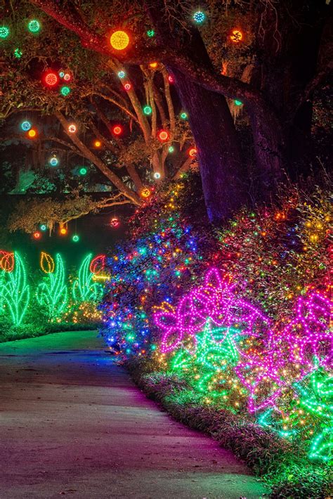 28+ Bellingrath Gardens Christmas Lights - SaeedaRicco