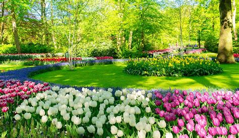 Spring Flowers: Spring Blooming Flowers For Your Garden | Gilmour