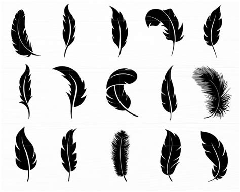 Feather Svg Bundle Feather Silhouette Feather Cut File Feather - Etsy