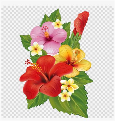 Tropical Flowers Clipart | Best Flower Site