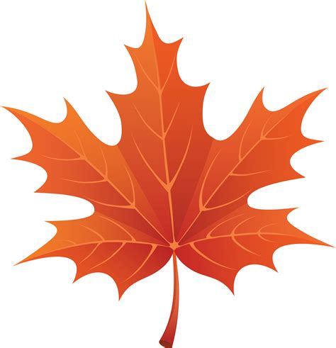 Fall Leaf Clipart No Background