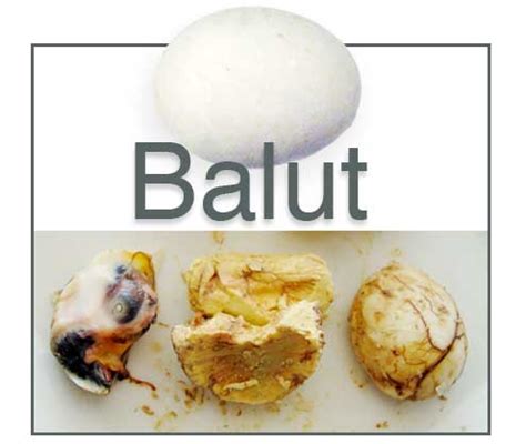 Balut / Philippine yucky-yummy Cuisine / Filipino Food for the Intrepid ...