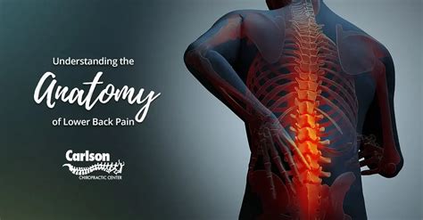 Understanding the Anatomy of Lower Back Pain - Carlson Chiropractic Center