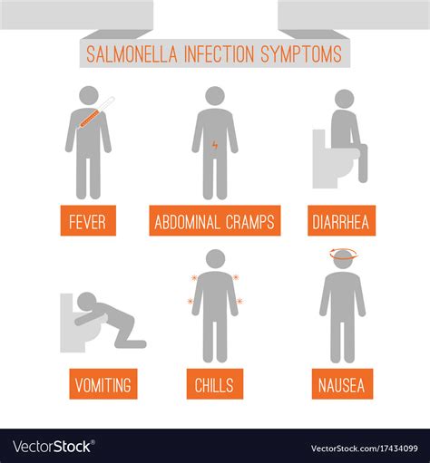 Salmonella infection symptoms Royalty Free Vector Image