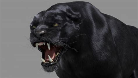 3d model black panther cat