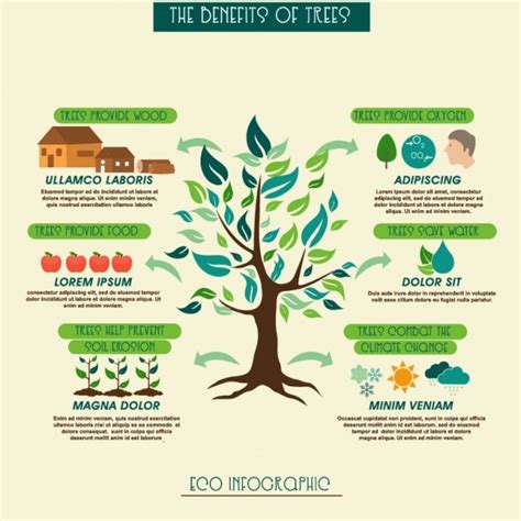 Premium Vector | Infographic of the tree benefits