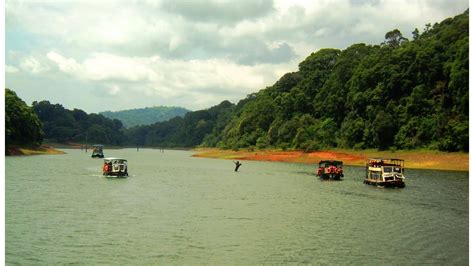 Thekkady Boating In 2024-Online Booking, Timings, Cost, Fare For ...