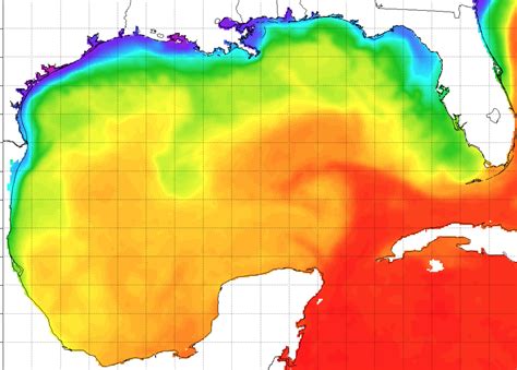 Gulf of Mexico has warmed at twice rate of global oceans | Commercial ...