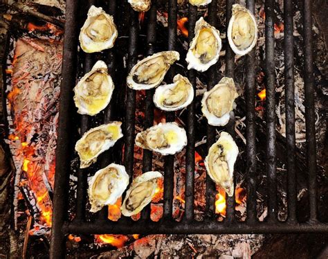 Grilled Oysters are very easy to be as they can be cooked in their ...