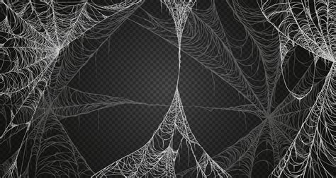 Cobweb realism set. Spiderweb for halloween, spooky, scary, horror ...