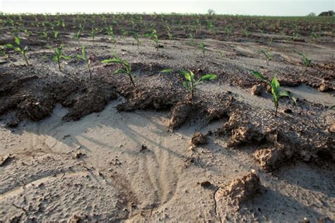 Impact Of Soil Erosion On Agriculture - The Agrotech Daily