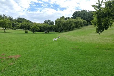 Waterkloof Ridge Dog Park – Pethub