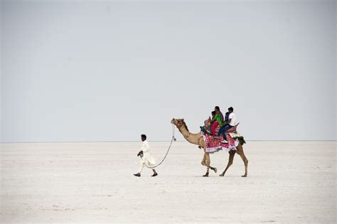 How to Visit Great Rann of Kutch: Essential Travel Guide