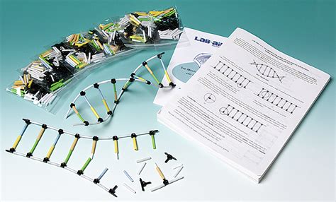 Molecular Model of DNA and Its Replication Kit | Flinn Scientific