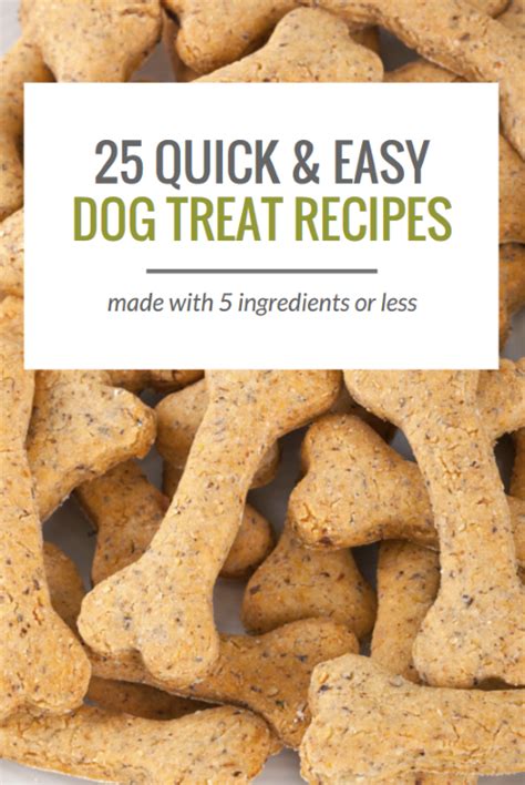 Easy Homemade Dog Treats Recipes | Dandk Organizer