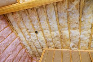 What Are The Different Types Of Attic Insulation? - infinity-space