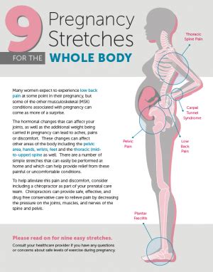 Nine Pregnancy Stretches for the Whole Body