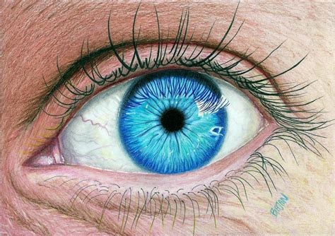 Realistic Eye by Bajan-Art on DeviantArt