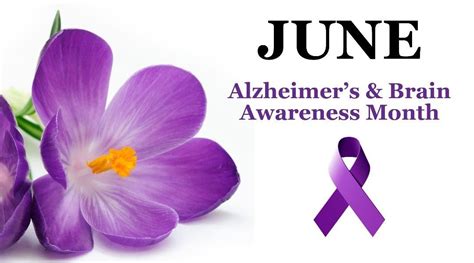 June is Alzheimers & Brain Awareness Month an opportunity to hold a ...