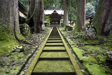 Steve Jobs' Temple of Zen Monk Dreams Vies For Tourist Dollars