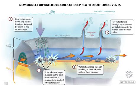 New model for water dynamics of hydrothermal vents | Seafloor spreading ...