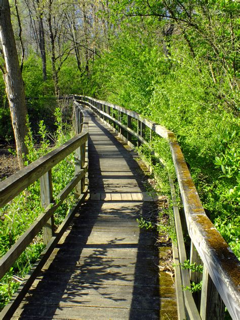 New sensory walking trail gives access to the visually impaired ...