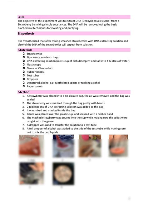 Strawberry DNA extraction | Chemistry - Year 11 SACE | Thinkswap