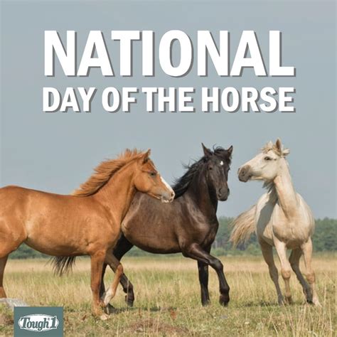 Day of the Horse | Horses, Animals, Fun