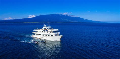 Galapagos cruise【2019】Check availability and compare prices