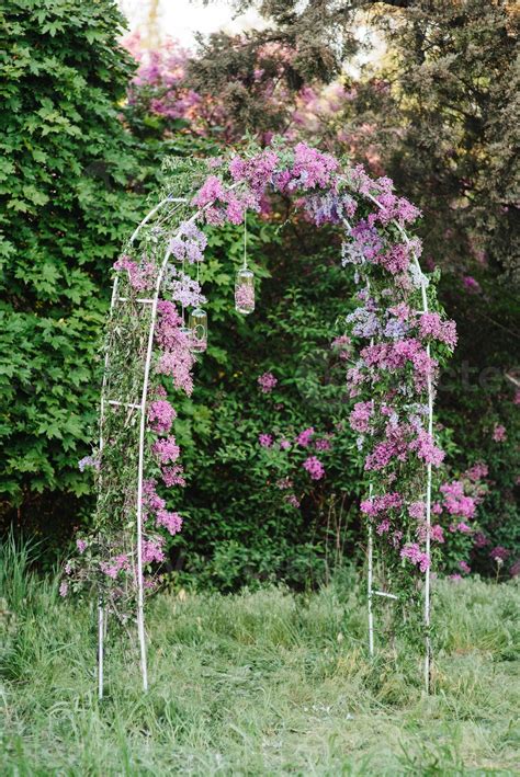 wedding ceremony in the woods among the trees 2919901 Stock Photo at ...