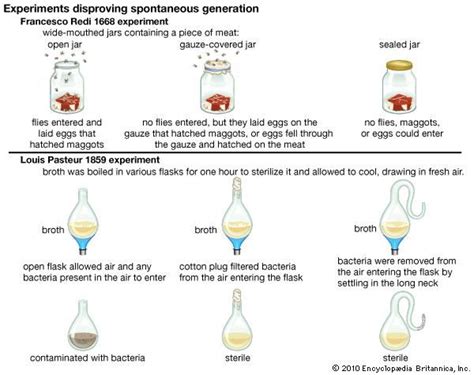 Louis Pasteur's Spontaneous Generation Disproof Experiment of 1859 - GM-RKB