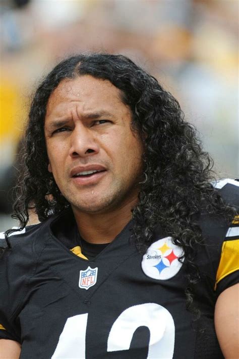 The Best Troy Polamalu Hair Moments (Complete Gallery) | Heartafact