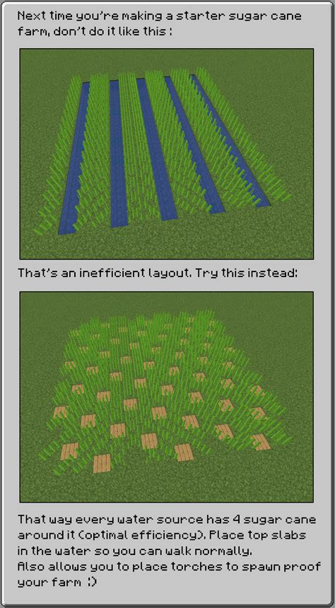 Citizens! Improve your sugar cane farms! : r/Minecraft