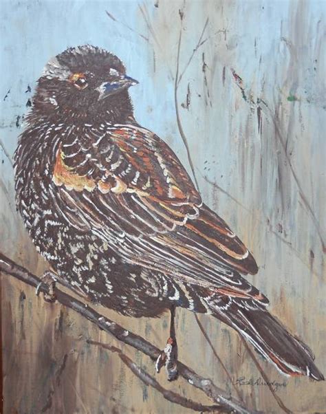 Stunning "Red Winged Blackbird" Painting Reproductions For Sale On Fine ...