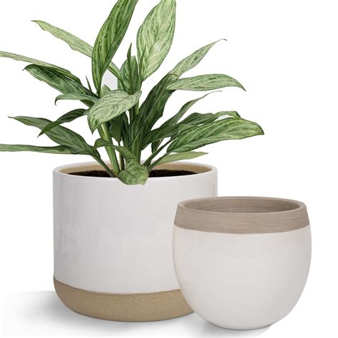 La Jolíe Muse White Ceramic Flower Plant Pots - Indoor Planters, Plant ...