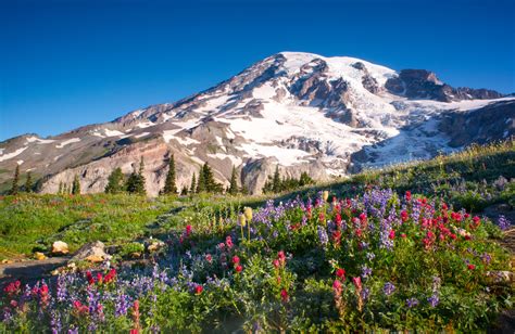 7 Best Hikes in Mt Rainier National Park • Small Town Washington