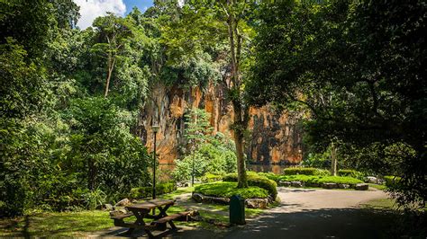 Bukit Batok Nature Park | Things to do in Bukit Batok, Singapore