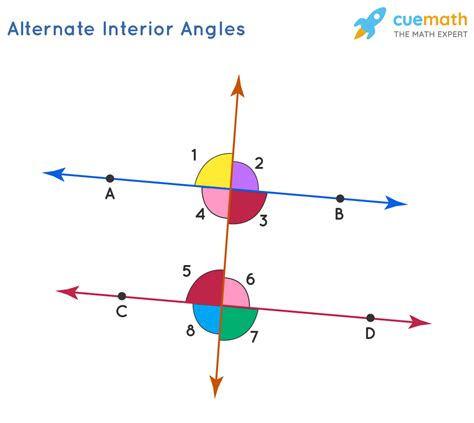 Alternate Interior Angles - Definition, Theorems, Examples