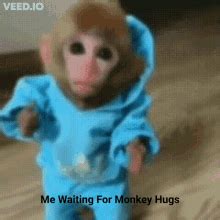 Monkey Hugs GIF - Monkey Hugs Waiting - Discover & Share GIFs