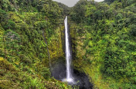 Akaka Falls, Big Island - Hawaii Pictures