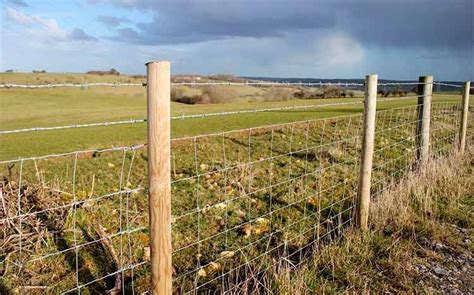 Farm Fencing Cost: Price Guide